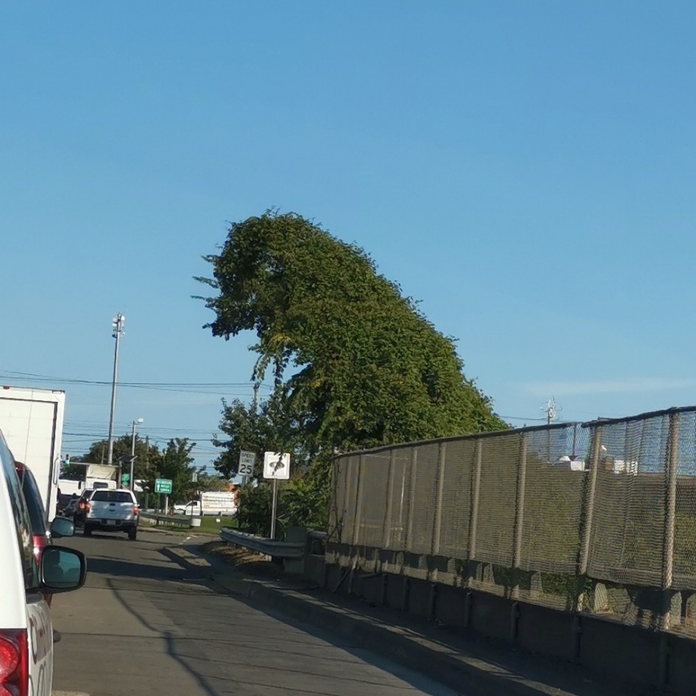 Meet your Posher, Freddy